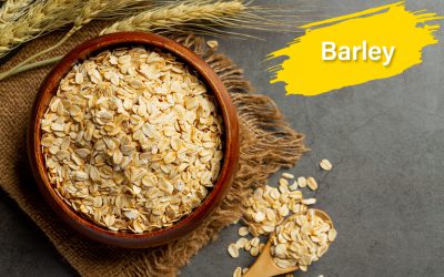 Barley