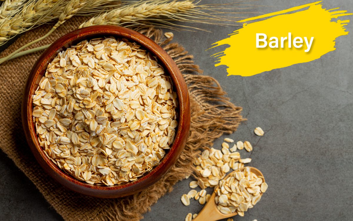 Barley