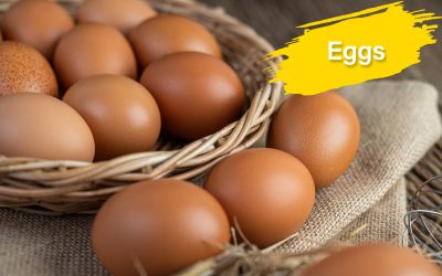 Eggs