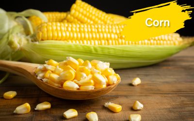 corn