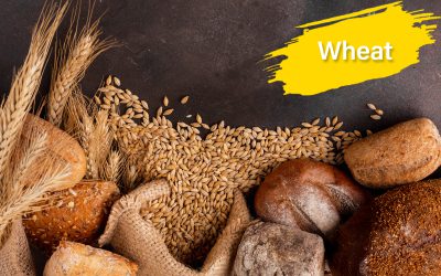 wheat